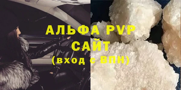 шишки Абаза
