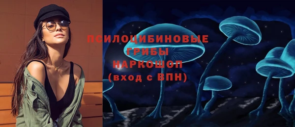 шишки Абаза