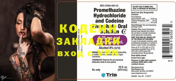 шишки Абаза