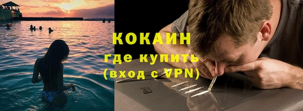 шишки Абаза
