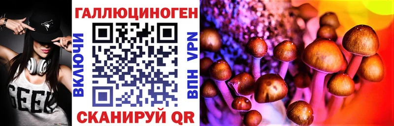 Псилоцибиновые грибы Cubensis Костомукша